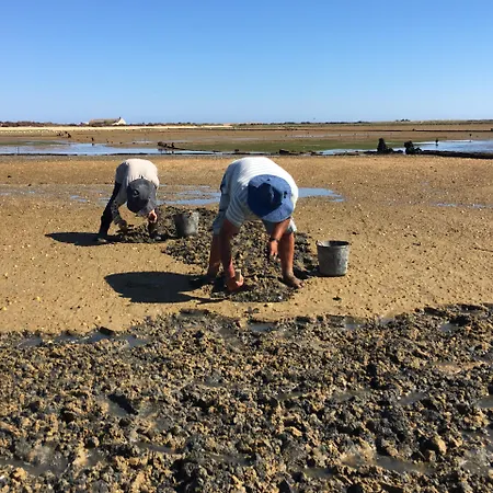 Grand House - Relais & Chateaux Отель Вила-Реал-ди-Санту-Антониу